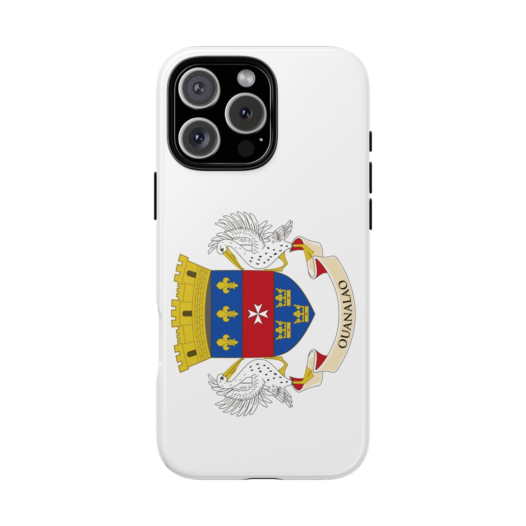 Saint Barthélemy Flag Phone Case