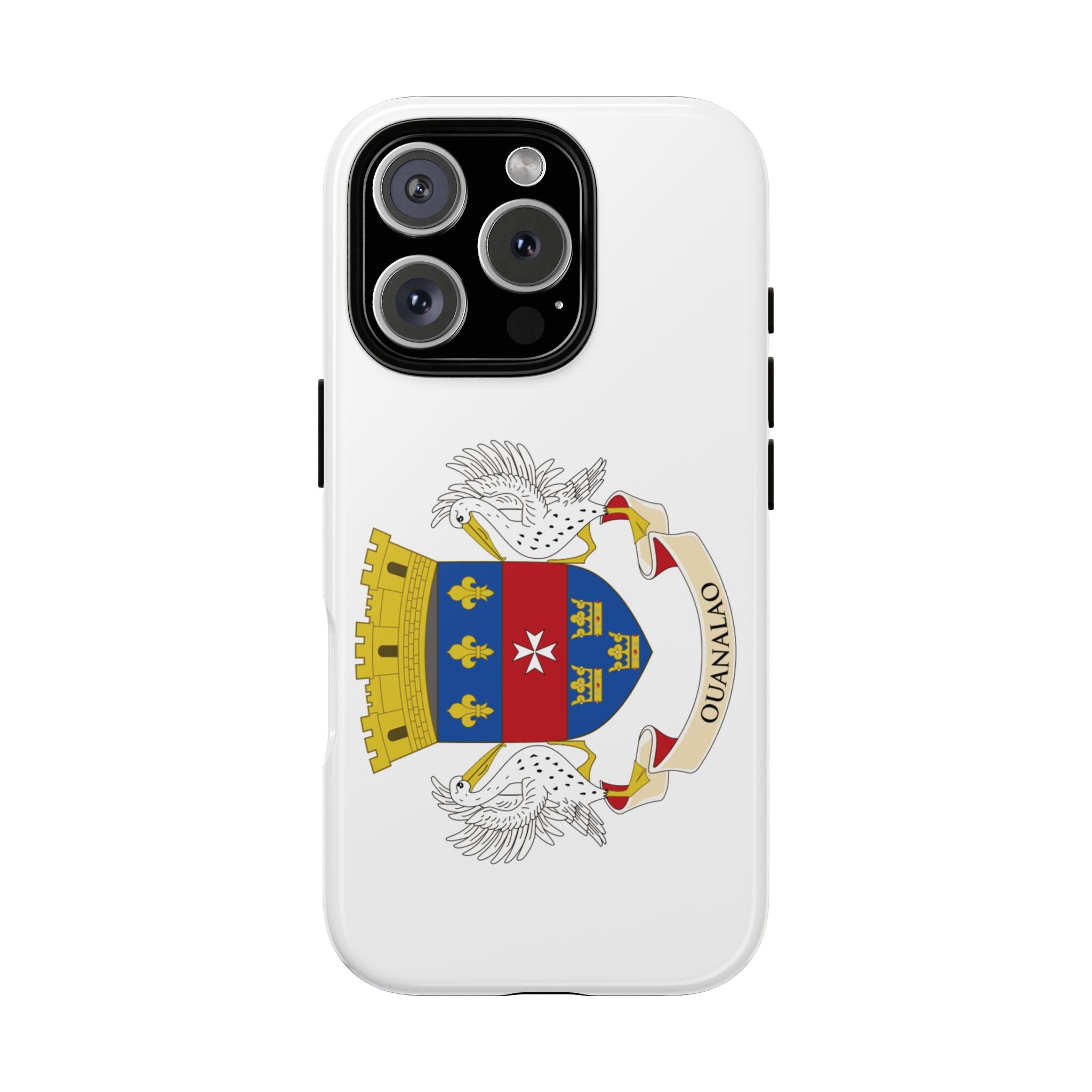 Saint Barthélemy Flag Phone Case
