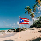 Puerto Rican flag on a beach with palm trees and blue sky
