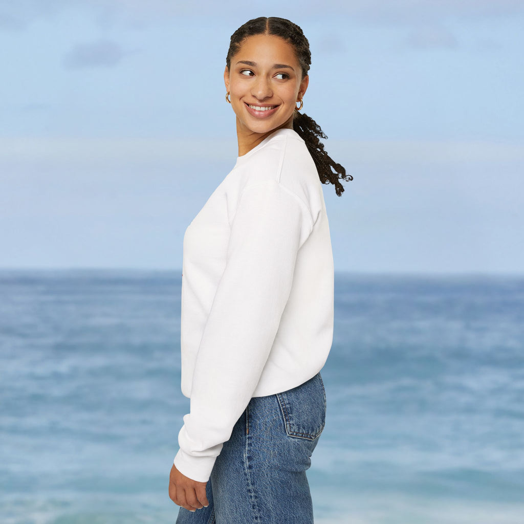 Aruba Caribbean University Sweatshirt - Irie Blues Boutique