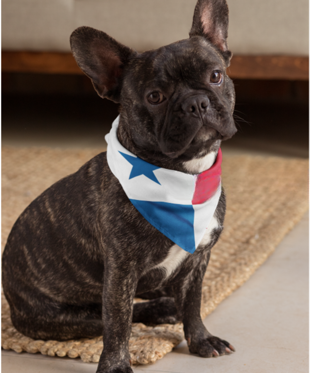Panama Flag Bandana