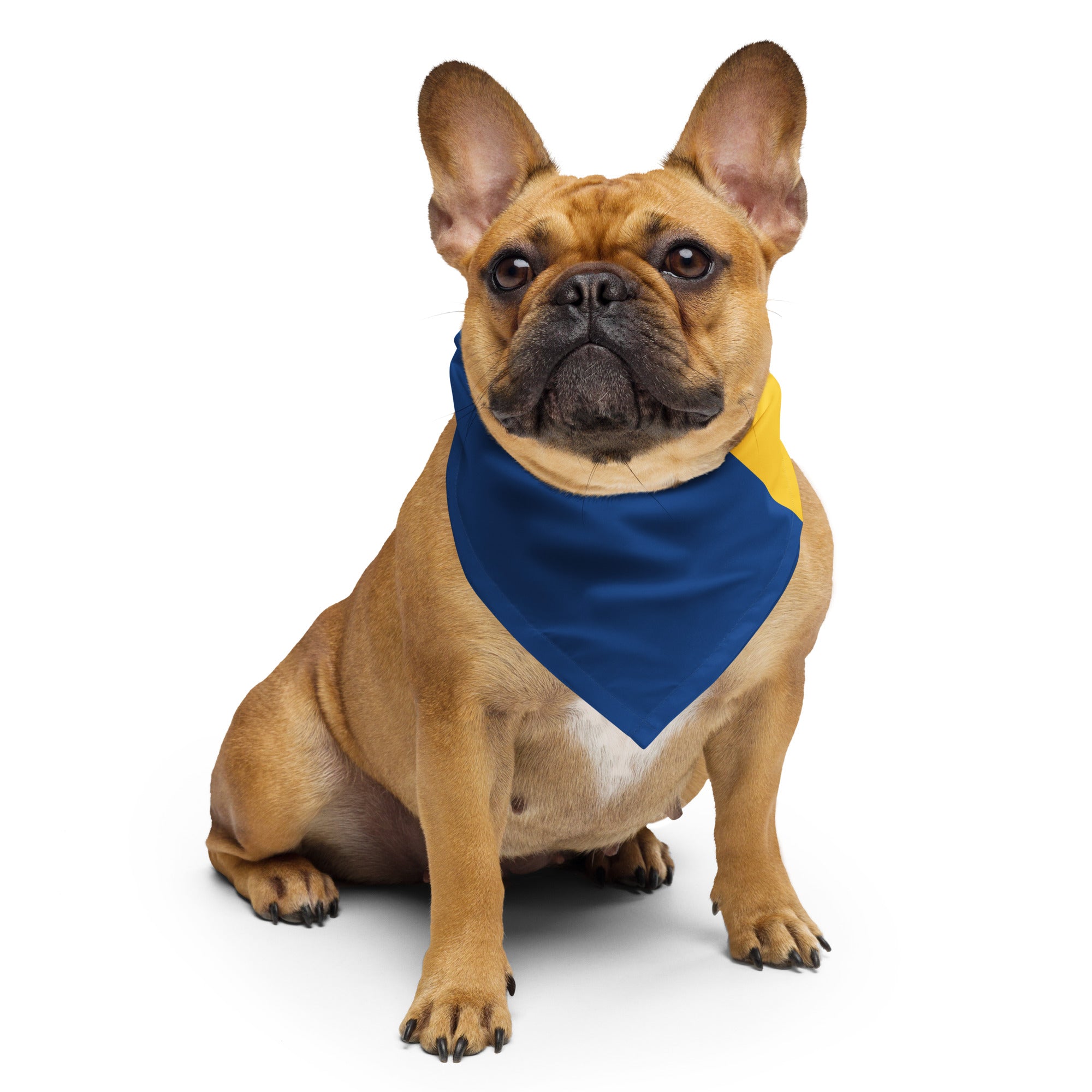 Barbados Flag Bandana - Irie Blues Boutique
