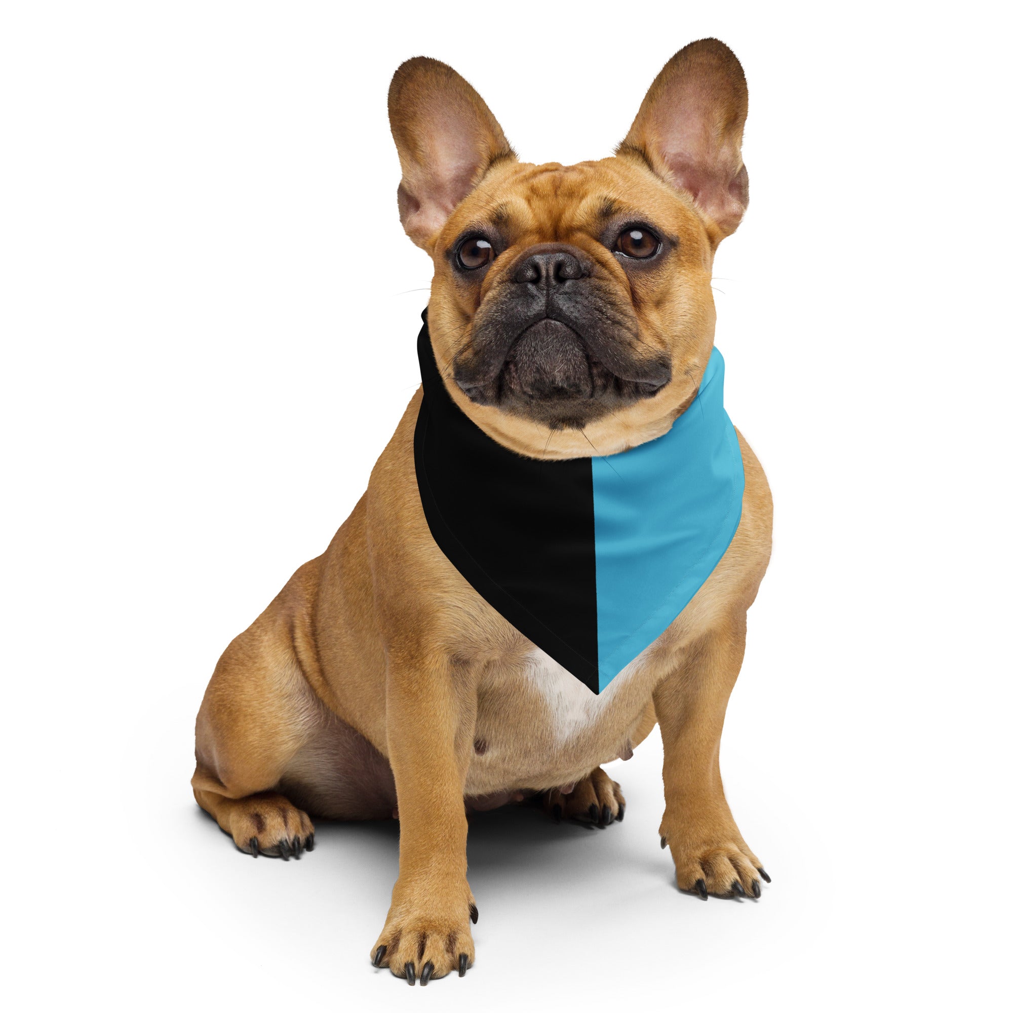 Bahamas Flag Bandana