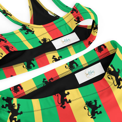 Rasta Reggae High Waisted Bikini