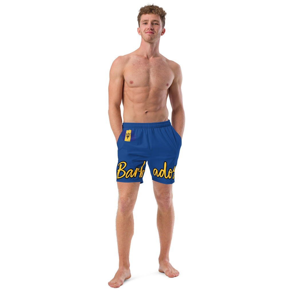 Barbados Flag Recycled Swim Trunks - Irie Blues Boutique
