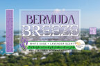 Bermuda Breeze Scented Soy Candle - Irie Blues Boutique