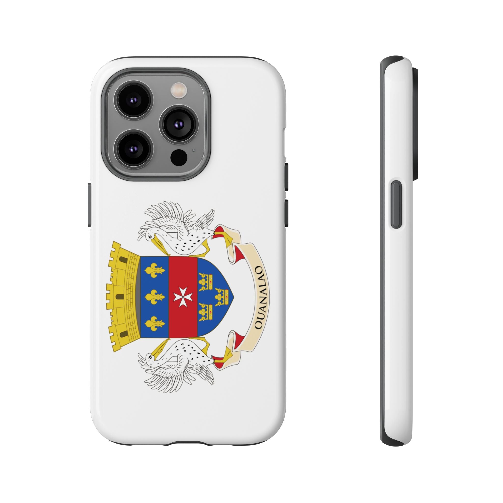 St Barthélemy Flag Tough Phone Case - Irie Blues Boutique
